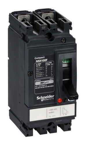 Силовой автомат Schneider Electric Compact NSX, 18кА, 2P, 100А